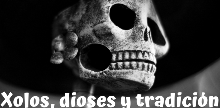 Xolos, dioses y tradición mexicana, el día de muertos